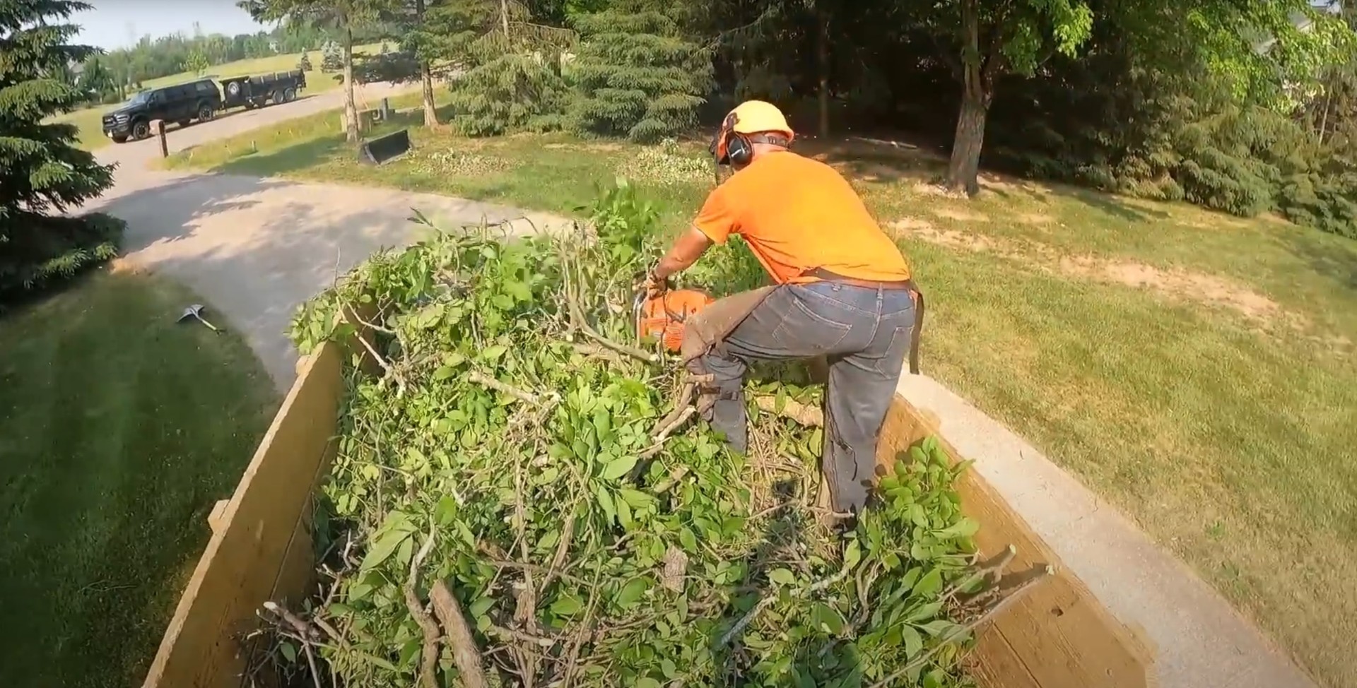 Professional stump grinding and removal services Tree service professional operating chainsaw for stump grinding