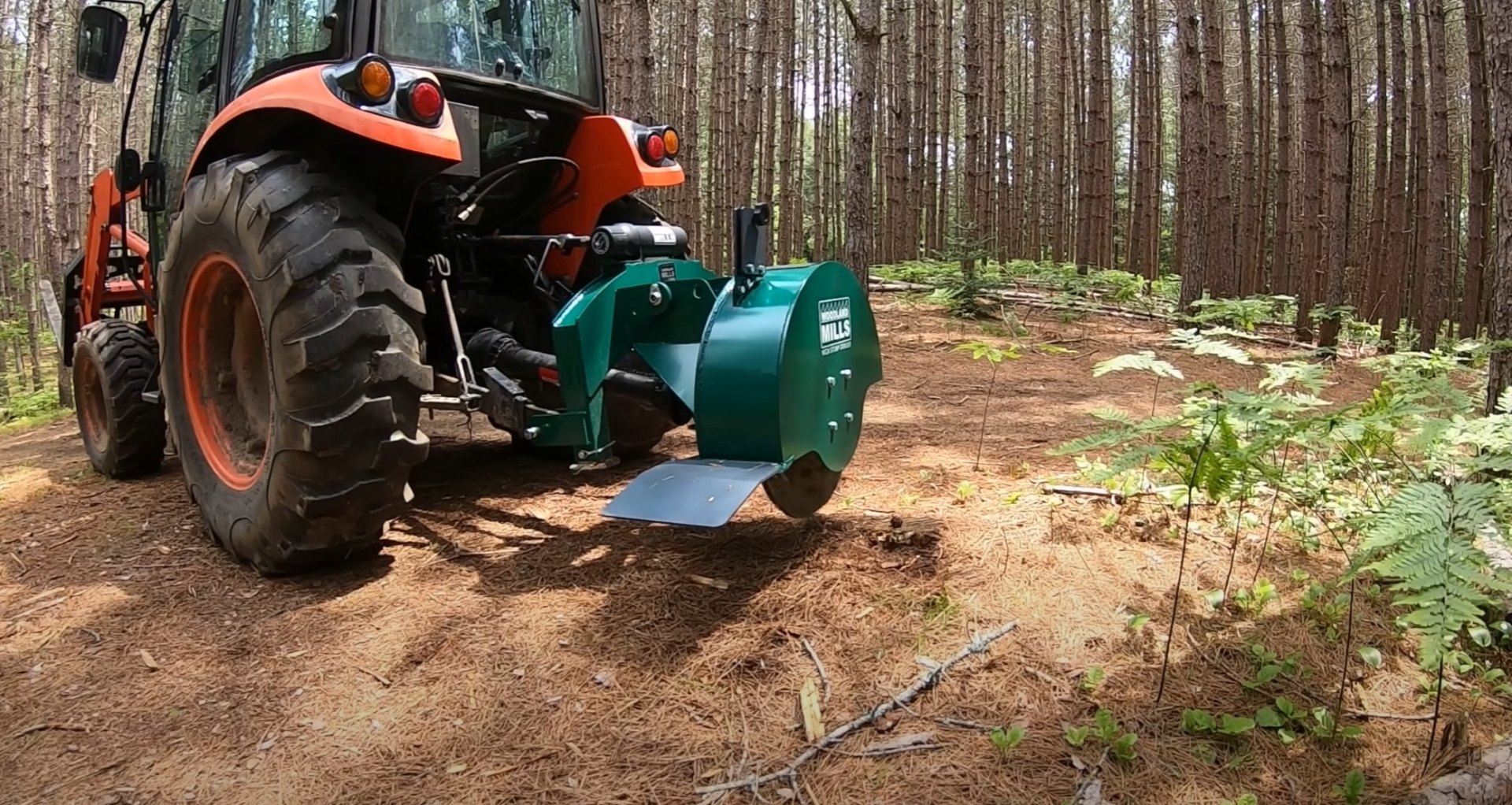 Professional tree removal equipment and machinery Heavy duty tree removal equipment including stump grinder in wooded area
