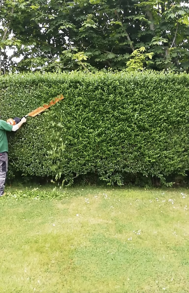 Professional hedge trimming and shrub maintenance services Tree service professional trimming hedge with professional equipment