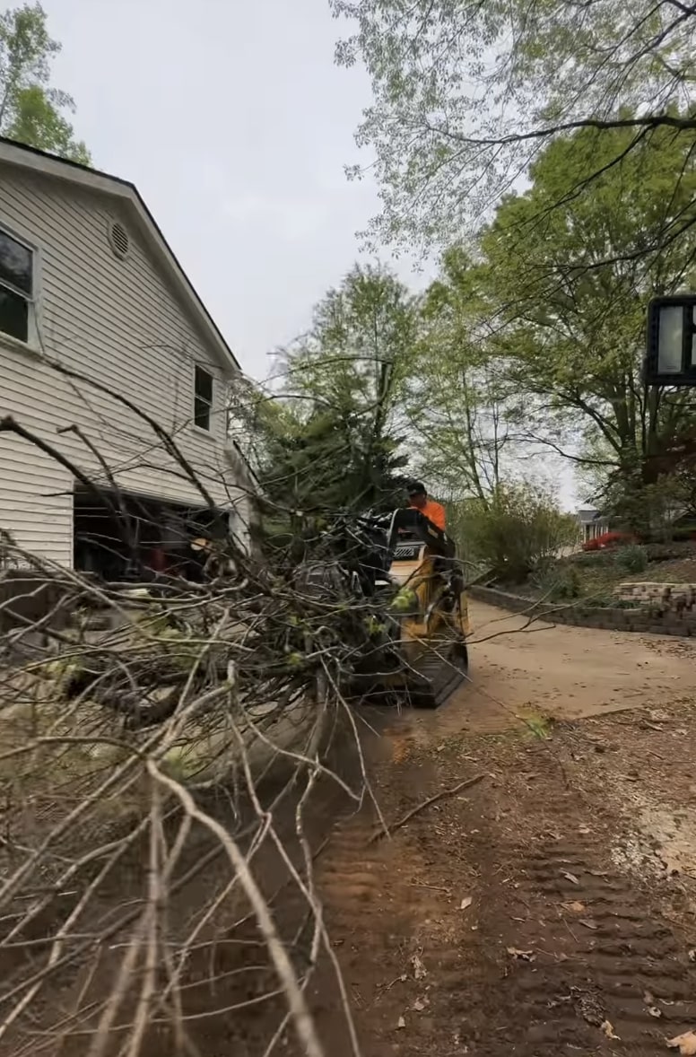 Tree removal services in Coral Gables FL Professional tree removal equipment and crew working on residential property