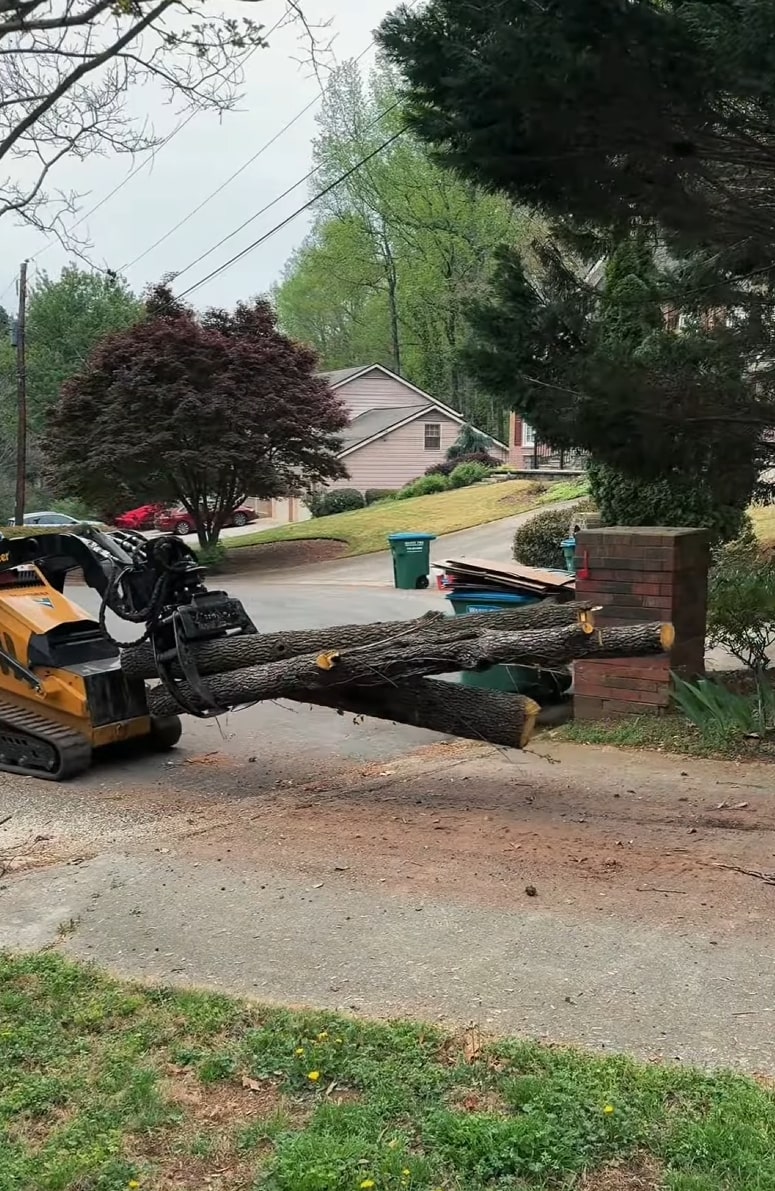 Heavy-duty tree removal with specialized equipment in residential area Professional tree removal equipment removing large tree from residential property