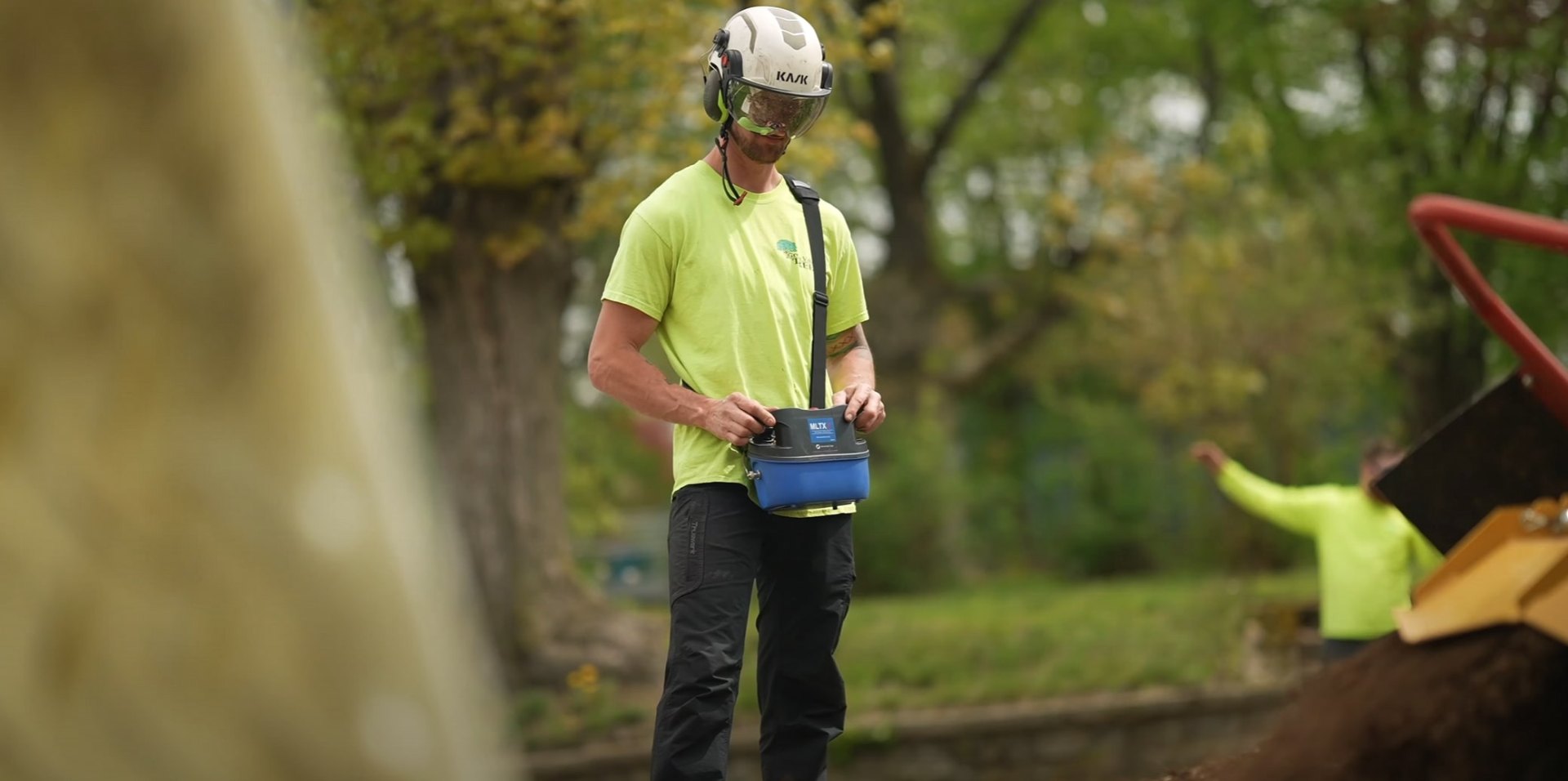 Professional arborist with proper safety gear and equipment Certified arborist with safety equipment performing tree service work
