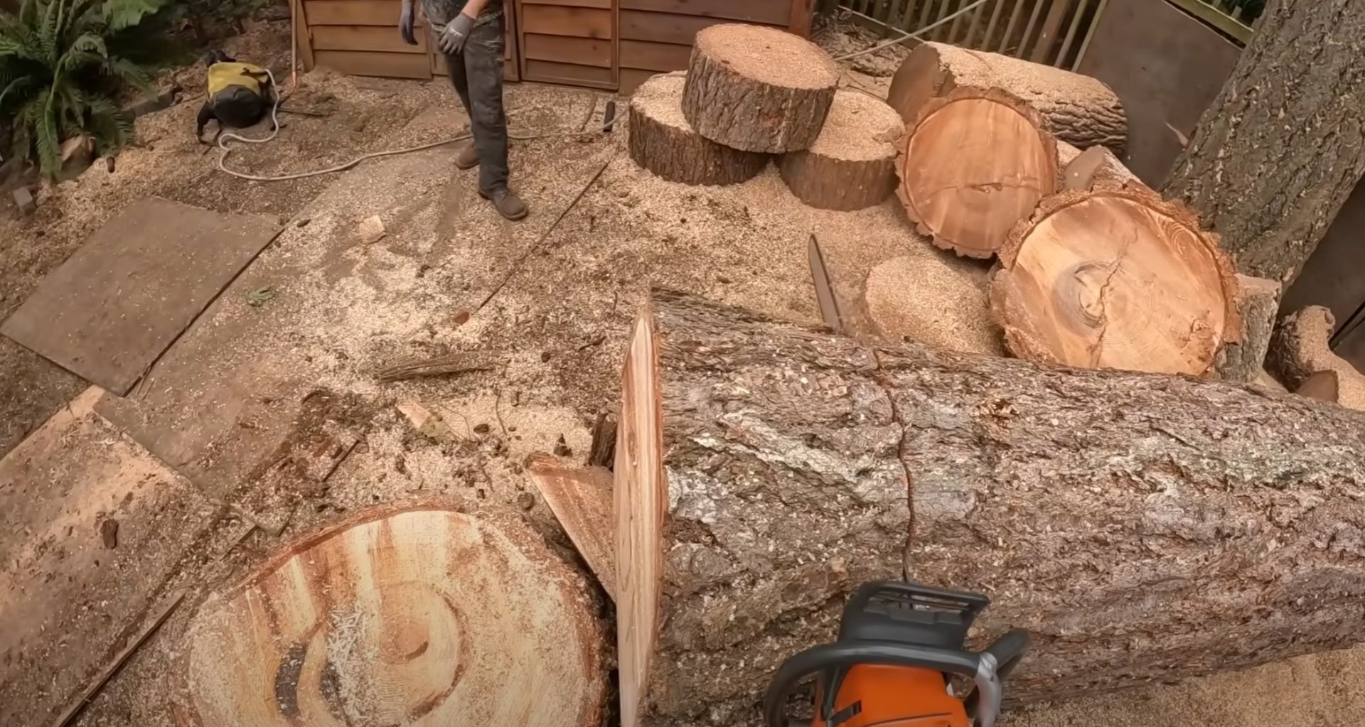 Professional tree cutting and processing services Large tree sections being cut and processed at tree service work site