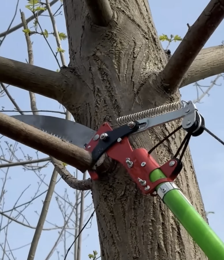 Professional tree cutting equipment for safe removal Professional tree cutting saw being used for safe tree removal